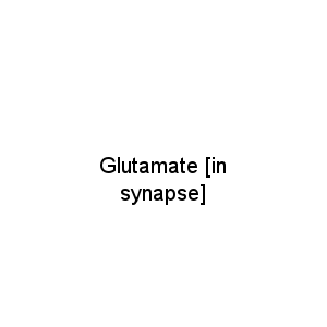Glutamate [in synapse]